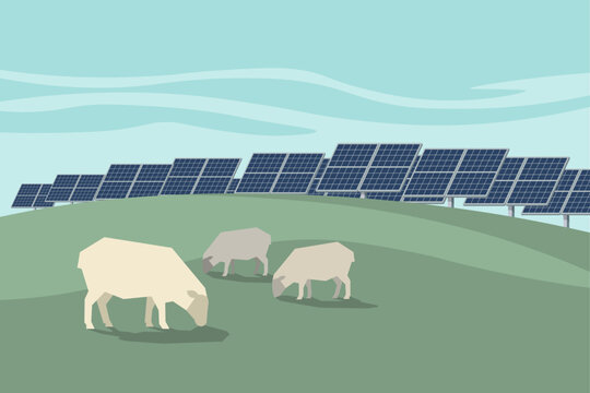 Solar panel farm on green hills with grazing sheep agrivoltaics concept eco friendly sustainable energy production vector illustration