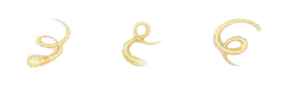 Set of Three Abstract Golden Curly Wire Lines Decorative Swirl Elements Isolated on White Background PNG