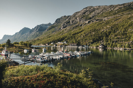 Ersfjordbotn, Troms, Norway - 29 August 2025: View of the marina in Ersfjordbotn with small boats moored in the calm fjord, surrounded by steep green mountains under a clear sky.