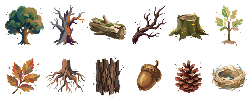 Forest elements icons set. Nature and woodland objects concept. Includes green tree, dead tree, log, branch, tree stump, sapling, autumn leaves, roots, bark, acorn, pine cone, bird nest