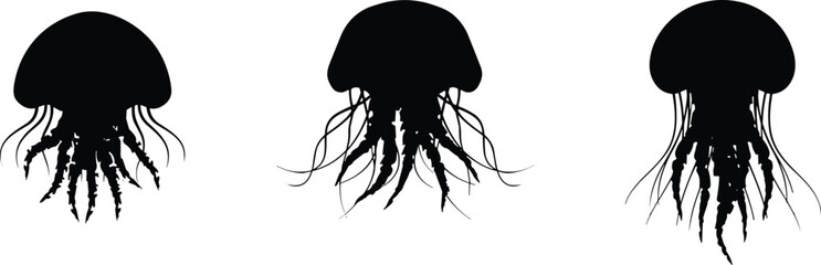 Deep sea jellyfish aquatic organism vector icons with detailed tentacles. © Mominul