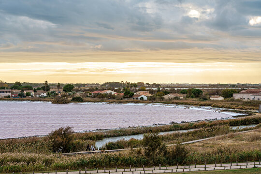 The pink salt lake and the medieval walled Old town of Aigues-Mortes, Camargue, France