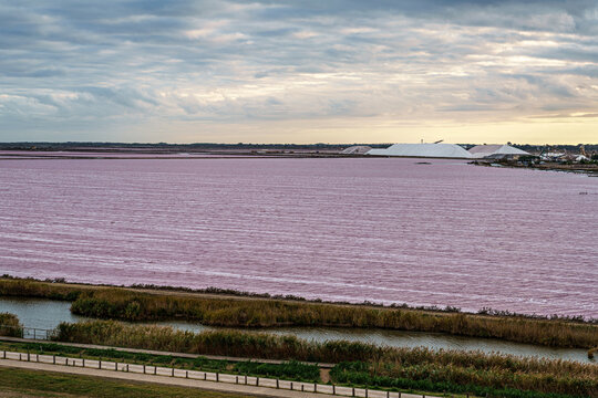 The pink salt lake and the medieval walled Old town of Aigues-Mortes, Camargue, France