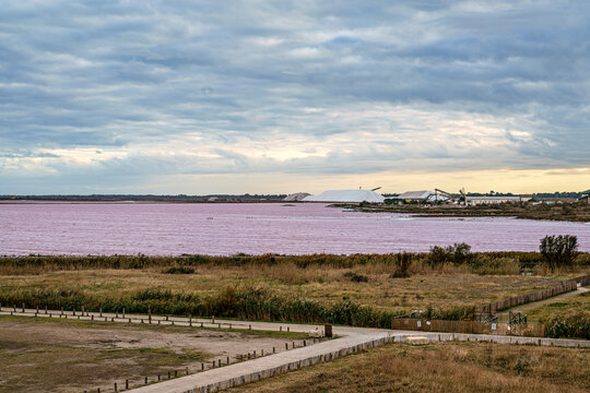 The pink salt lake and the medieval walled Old town of Aigues-Mortes, Camargue, France