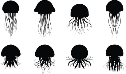 Black jellyfish silhouette set isolated on a plain white background. © Mominul