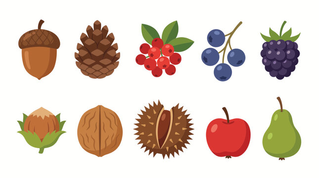 Autumn forest fruits berries and nuts vector set with acorn pinecone hazelnut walnut chestnut apple and pear isolated on white background