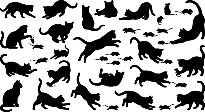 Black cat and mouse silhouettes collection in various playful poses like jumping stretching and hunting vector set