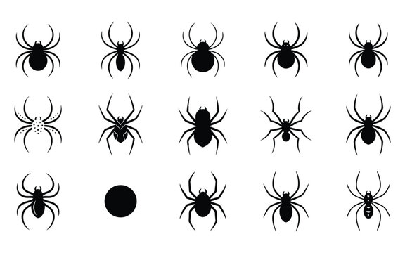 Set of black spider silhouettes for a spooky halloween vector illustration featuring various creepy insect designs and shapes