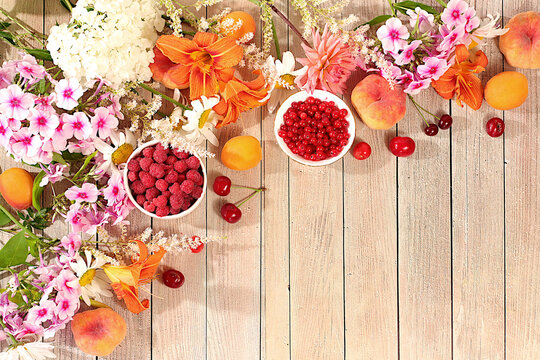 Drawing of daisies, hydrangeas, phlox, lilies, currants, cherries, raspberry and fruit makes for a sunny summer postcard. Advertising banner featuring beautiful garden flowers, fruits, and berries.