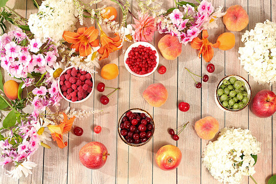 Drawing of daisies, hydrangeas, phlox, lilies, currants, cherries, raspberry and fruit makes for a sunny summer postcard. Advertising banner featuring beautiful garden flowers, fruits, and berries.