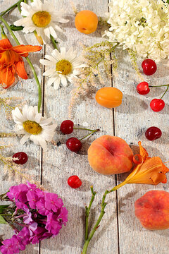 Advertising banner featuring beautiful garden flowers, fruits, and berries.drawing of daisies, hydrangeas, phlox, lilies, cherries, peaches and apricots makes for a sunny summer postcard.