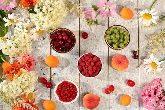 Advertising banner featuring beautiful garden flowers, fruits, and berries.drawing of daisies, hydrangeas, phlox, lilies, currants, cherries, raspberry and fruit makes for a sunny summer postcard.