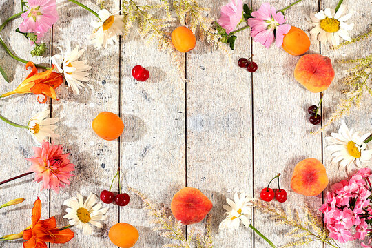 Drawing of daisies, hydrangeas, phlox, lilies,cherries, peaches and apricots makes for a sunny summer postcard. Advertising banner featuring beautiful garden flowers, fruits, and berries.