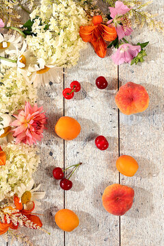 Drawing of daisies, hydrangeas, phlox, lilies,cherries, peaches and apricots makes for a sunny summer postcard. Advertising banner featuring beautiful garden flowers, fruits, and berries.