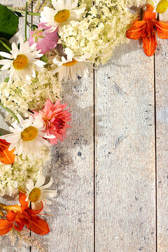Advertising banner featuring beautiful garden flowers, chamomile, hydrangea, phlox, cherry blossoms and lilies, sunny summer postcard. Abstract floral composition and concept of elegant beauty,
