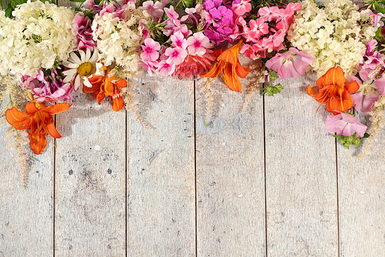 Advertising banner featuring beautiful garden flowers, chamomile, hydrangea, phlox, cherry blossoms and lilies, sunny summer postcard. Abstract floral composition and concept of elegant beauty,