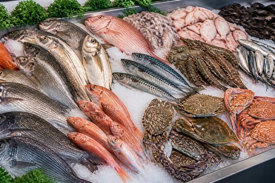 Seafood is arranged neatly on ice at a market. There are several types of fish, crabs, and other shellfish available. Customers can choose from a variety of fresh options.