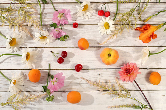 Drawing of daisies, hydrangeas, phlox, lilies,cherries, peaches and apricots makes for a sunny summer postcard. Advertising banner featuring beautiful garden flowers, fruits, and berries.