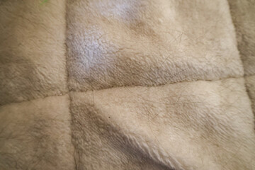 close-up of soft beige tan fleece or sherpa fabric with quilted stitching lines creating a grid pattern, showing plush texture with some pet hair visible © Andy Bergen