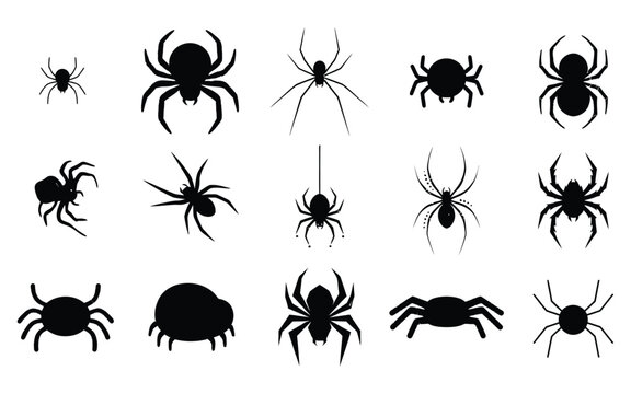 Collection of black spider silhouettes as halloween vector elements for spooky holiday design projects and scary decorations