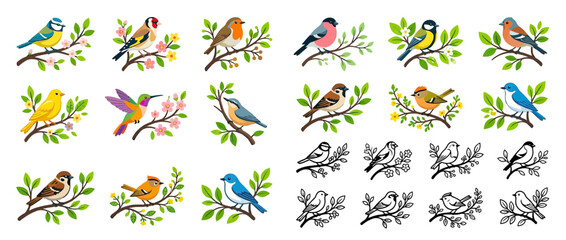 Colorful Birds Perched on Spring Branches Collection © Joni