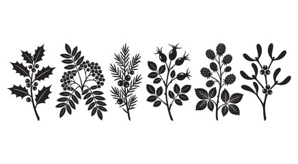 Black winter holly mistletoe and berry branch silhouettes set vector illustration isolated on white background © selena
