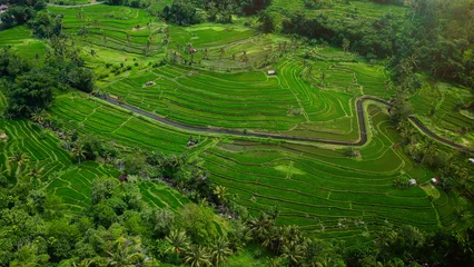 Fototapete Grün Rice terraces and field aerial view drom drone. Jatiluwih, Bali.  © Юрий Крылов