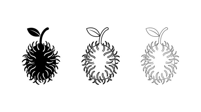 Rambutan fruit icon set. Tropical exotic food symbols isolated on transparent background
