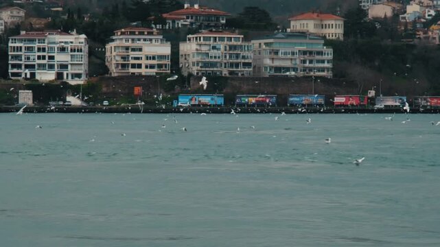 Flock of seagulls flying low over the choppy sea with the coastline and traditional waterside mansions of the Istanbul Bosphorus in the background. Travel and city life concept.