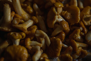 Macro of fresh golden chanterelle mushrooms frying in oil. Sizzling gourmet forest fungi, healthy organic meal preparation. Close-up culinary texture background, selective focus, blur, background © Jurii
