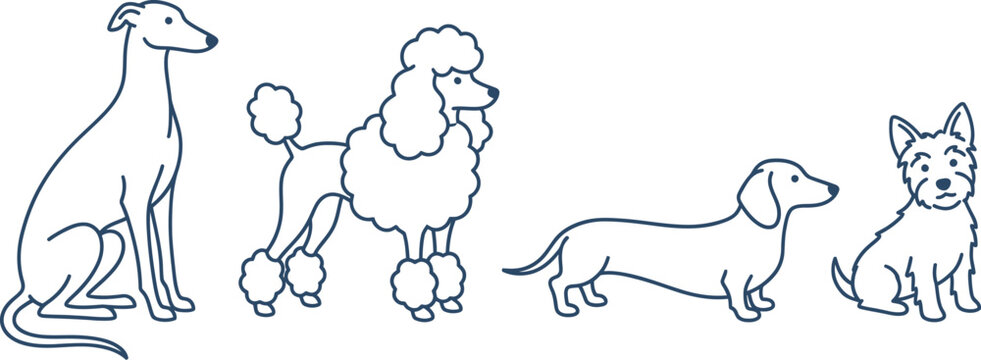 Cute animal icons set in decorative frames and borders outline vector illustration