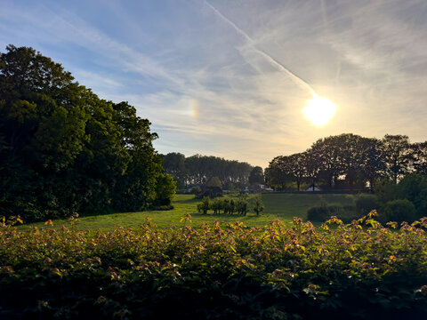 Golden-hour view over Aardenburg trees, fields and hedgerows, with warm setting sunlight, lush greenery, and a peaceful rural horizon for travel and lifestyle ads for Zeeland in the Netherlands.
