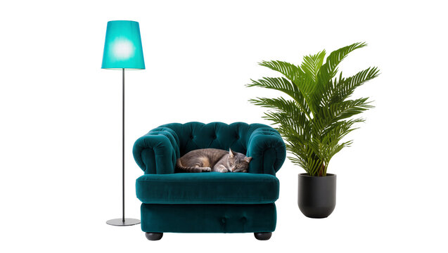 Isolated cozy teal armchair with sleeping cat, modern floor lamp, and a vibrant green palm plant.