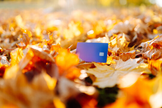 A brightly colored credit card lies among fallen autumn leaves in a sunny park. A debit card lies in a clearing among colorful foliage. Concepts for business, online shopping, and technology.