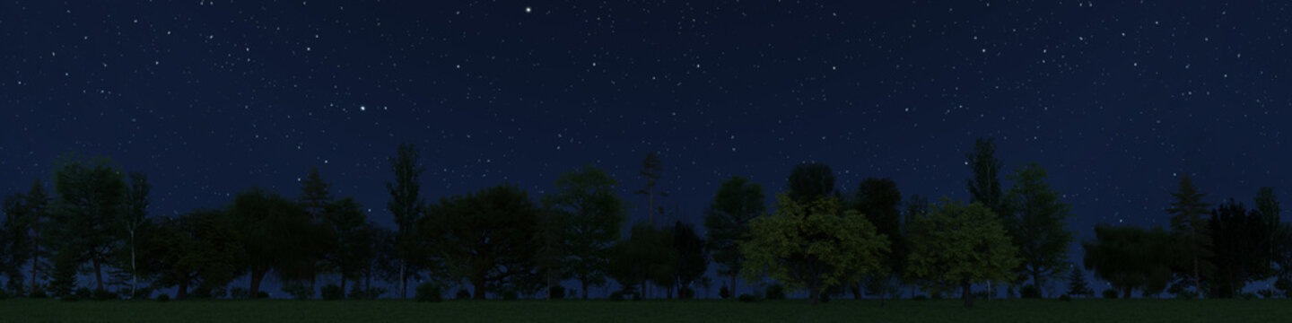 3D rendering of a seamless summer treeline with a grassy meadow at night