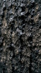 Fototapeta premium Wet black plaster texture background
