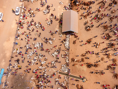 Aerial view of Kimana Animal Market with numerous cattle and goats gathered in pens, people interacting, and a central shed in Kimana, Kajiado County, Kenya.