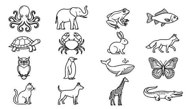 Black and White Animal Outline Collection with Octopus Elephant Frog Fish and Wildlife Vector Set