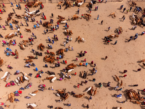 Aerial view of Kimana Animal Market with numerous cattle and people gathered on the dusty ground for livestock trading in Kimana, Kajiado County, Kenya.