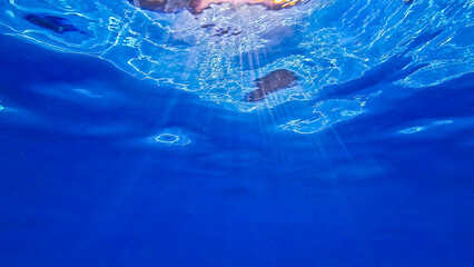 Obraz premium Underwater view of sun rays shinning through the surface of deep blue water.