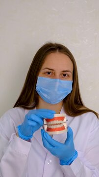 A dentist shows a model of a jaw. Selective focus.