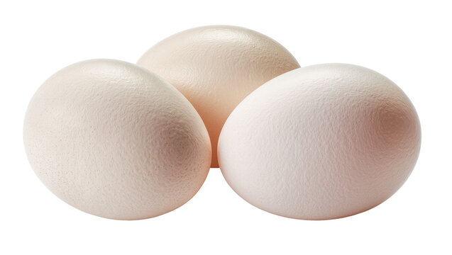 Isolated group of three large natural ostrich eggs showing unique textured shell details