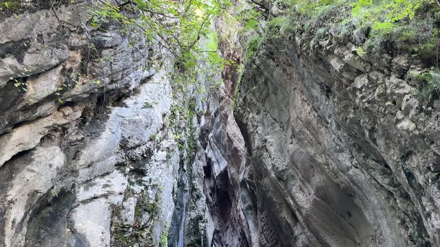 Forested rocky gorge with sheer stone walls, tangled branches, and bright green canopy overhead, viewed from low angle with sunlight filtering through leaves, creating calm rugged outdoor mountain