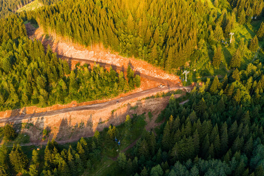 Aerial view of a dirt road winding through the dense coniferous forest of the Fiemme Valley, illuminated by the warm golden light of the setting sun in Trentino-Alto Adige, Italy.