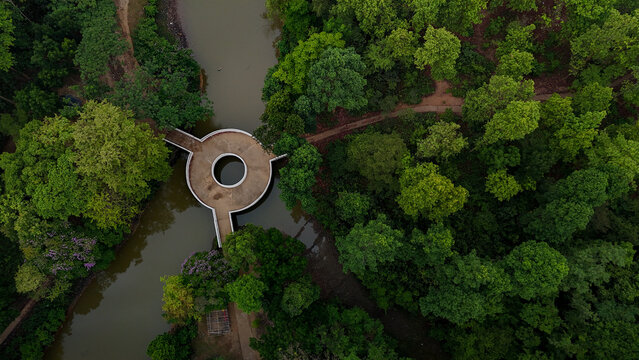 Aerial view of a circular bridge structure over a narrow stream surrounded by dense green forest and lush trees in Sherpur, Mymensingh, Bangladesh.