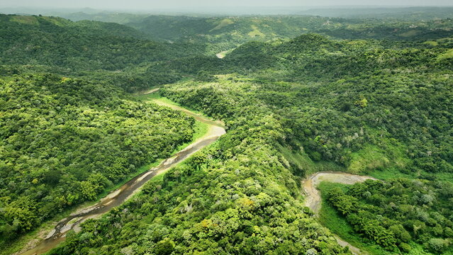 Aerial view of a winding river flowing through the dense, lush green tropical forest of the mountainous landscape in San Sebastian, Puerto Rico.