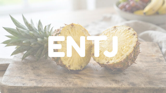 MBTI ENTJ - 1