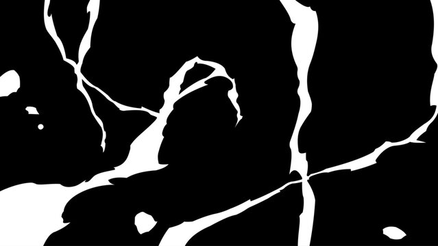 Abstract black ink crack effect with organic fracture pattern. Dynamic manga impact background isolated on transparent background. Comic style vector illustration.