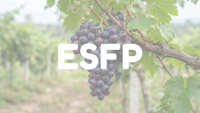 MBTI ESFP  - 1