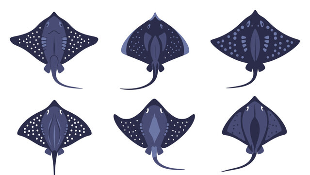 Collection of six stylized illustrations of different types of stingrays, viewed from above, against a white background.